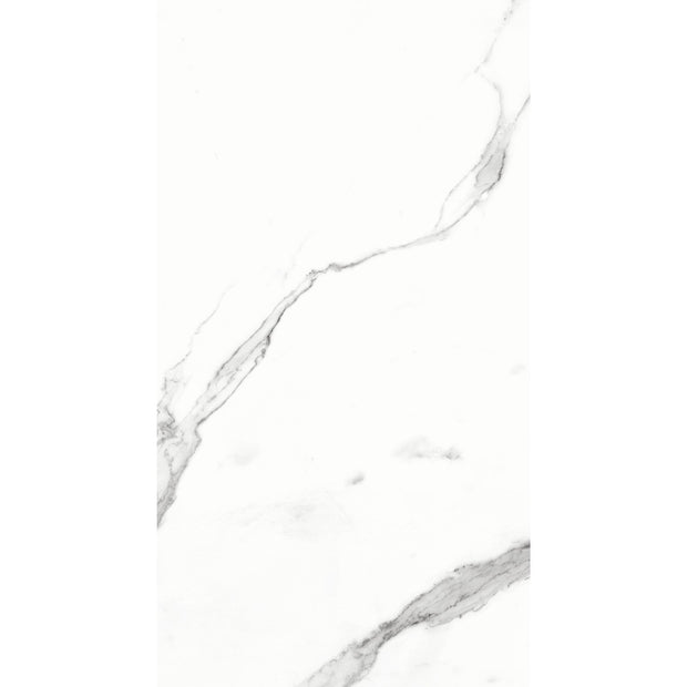 Statuario Bianco Matt Marble Look Porcelain Tiles 300x600mm tile