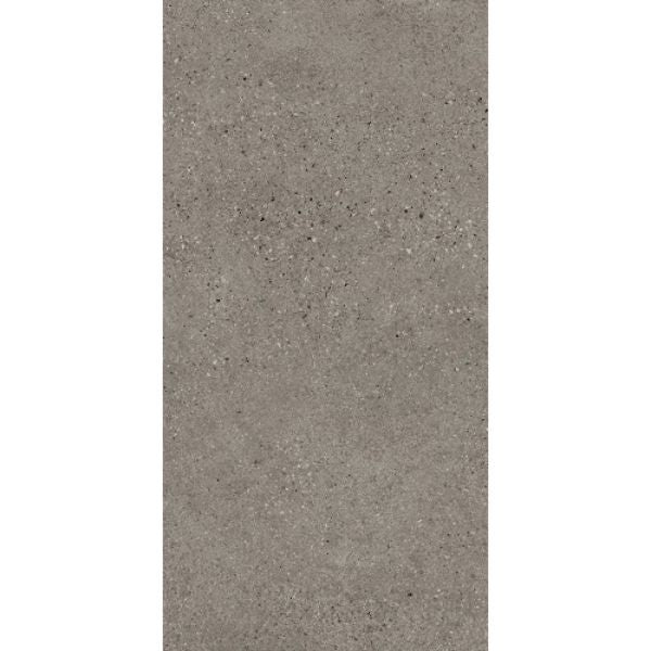 T-Stone Ash Grey Matt Stone Look Porcelain Tiles 300x600mm tile