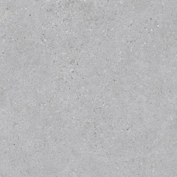 Terramix Light Grey 20mm Porcelain Pavers tile