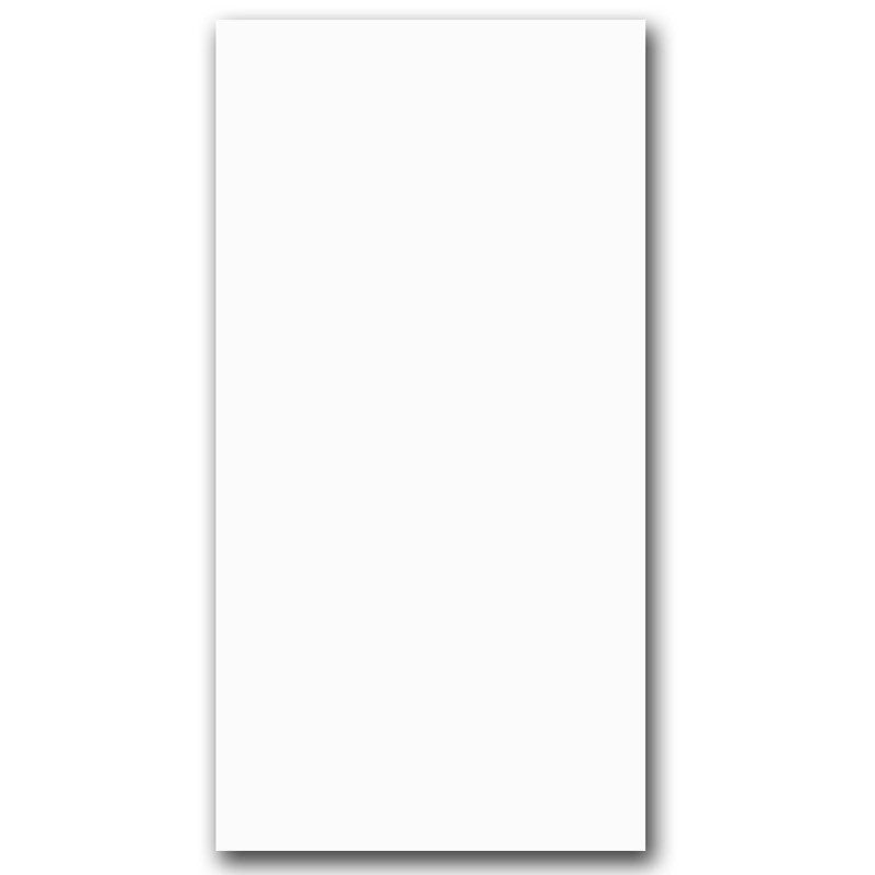 White Gloss Ceramic Wall Tiles 300x600mm tile